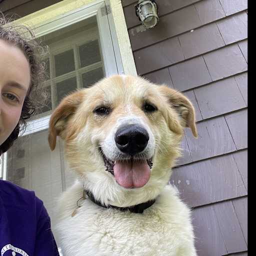 Profile image for pet sitter Rina