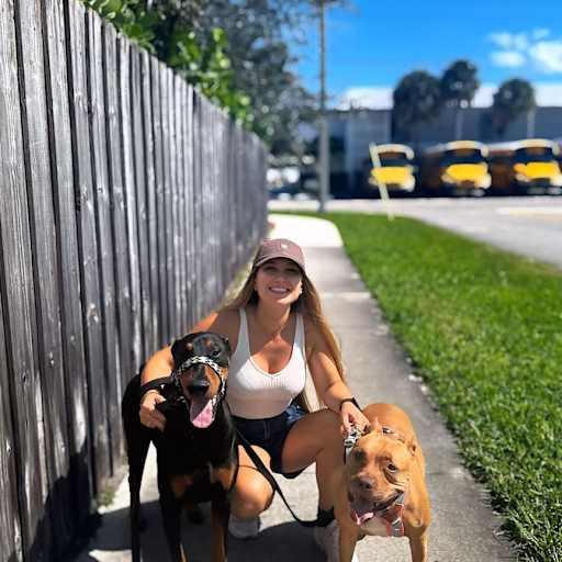 Profile image for pet sitter Andressa