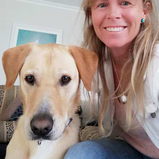 Profile image for pet sitter Andy