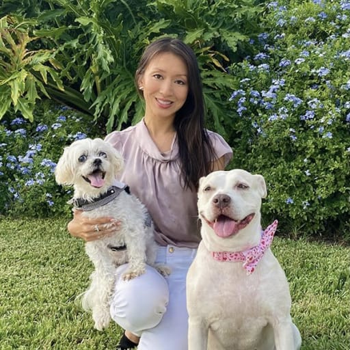 Profile image for pet sitter Sy