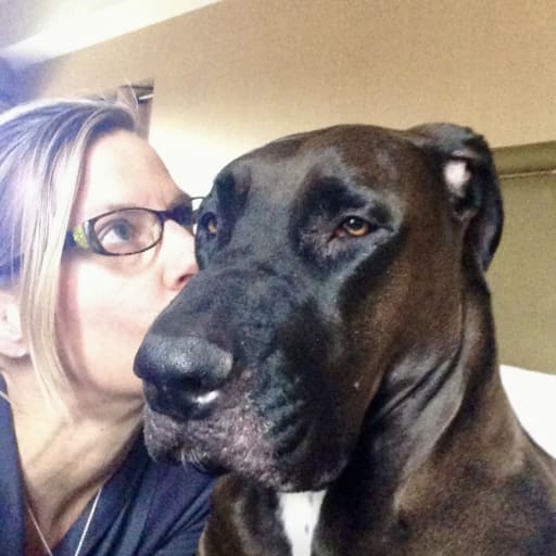 Profile image for pet sitter Tracy