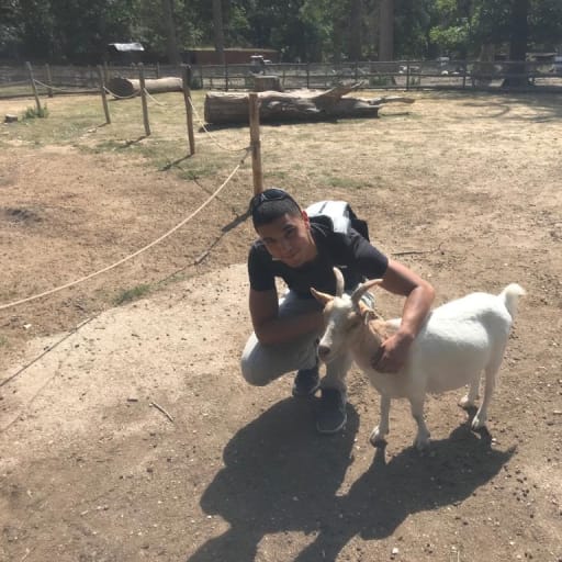 Profile image for pet sitter Yanis
