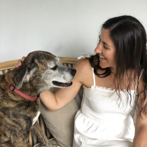 Profile image for pet sitter Laura