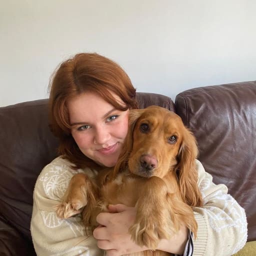 Profile image for pet sitters Amy & Reece 