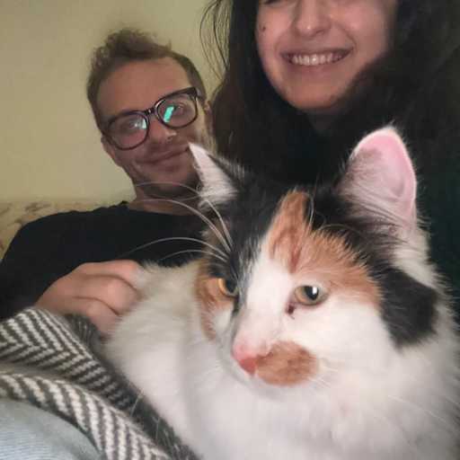 Profile image for pet sitter William