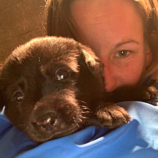 Profile image for pet sitter Marcy