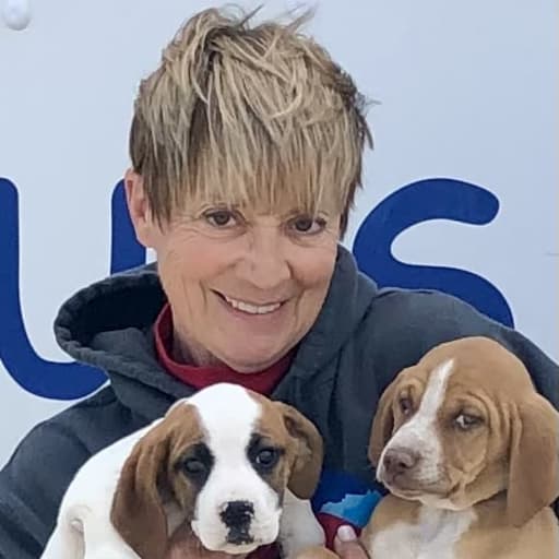 Profile image for pet sitter Cindy