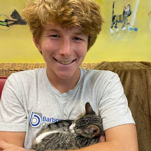 Profile image for pet sitter Fabrizio