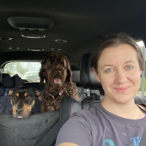 Profile image for pet sitter Taylor