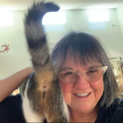 Profile image for pet sitter Diane