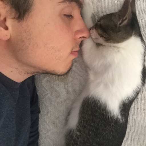 Profile image for pet sitter José David