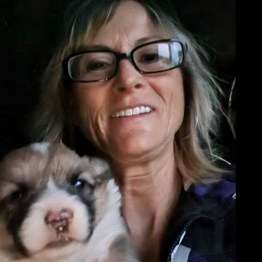 Profile image for pet sitter Jeri