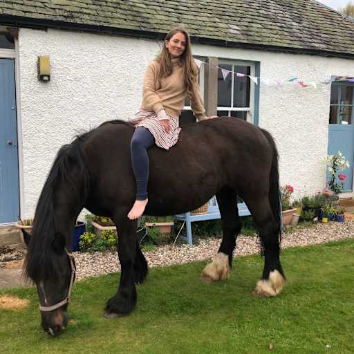 Profile image for pet sitter Hannah