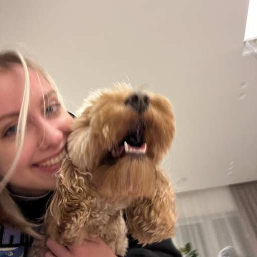Profile image for pet sitter Giedre