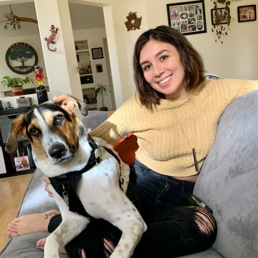Profile image for pet sitters Indya & Denise 