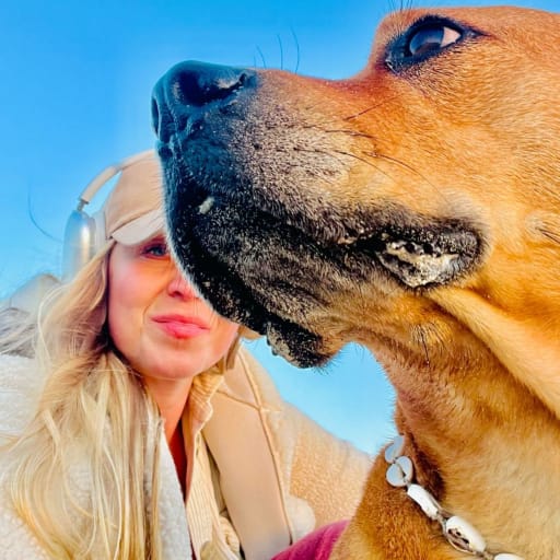 Profile image for pet sitter Elizabeth