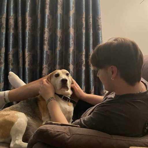 Profile image for pet sitter Mark