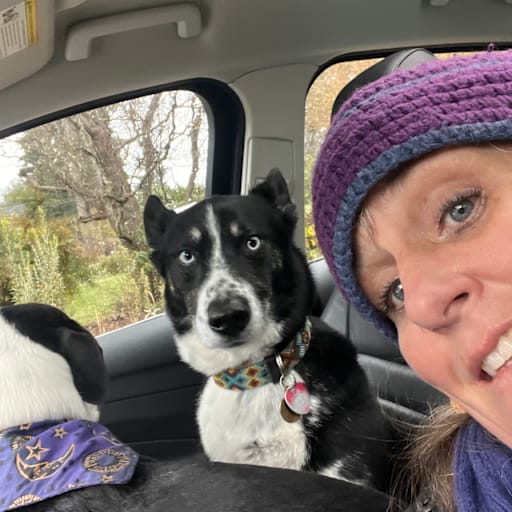 Profile image for pet sitter Sheila