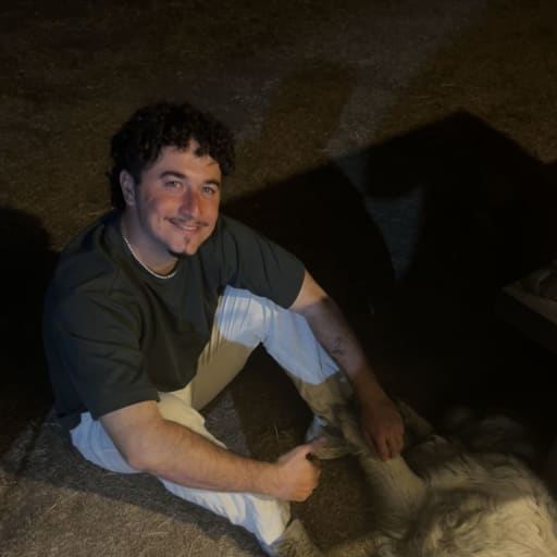 Profile image for pet sitters Paul & Quentin