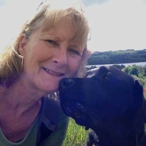 Profile image for pet sitter Di