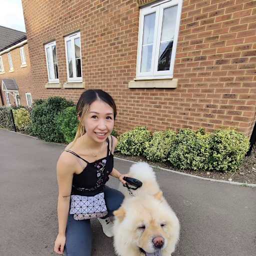 Profile image for pet sitter Sandy