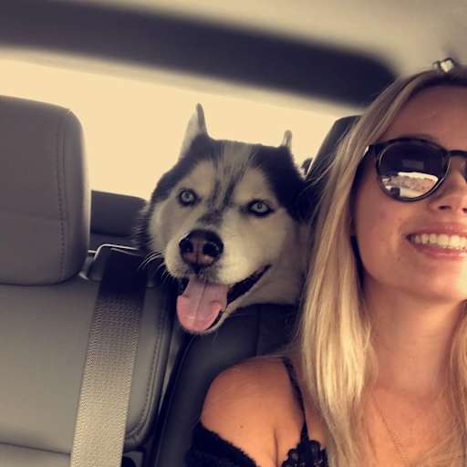 Profile image for pet sitter Mathilda