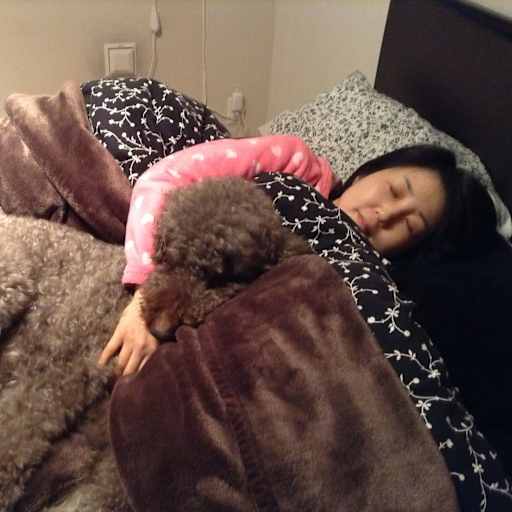 Profile image for pet sitters NORIKO & Mark