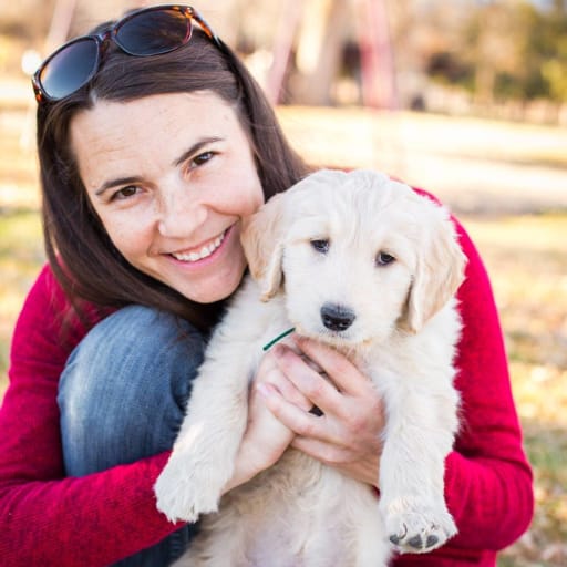 Profile image for pet sitter Cody