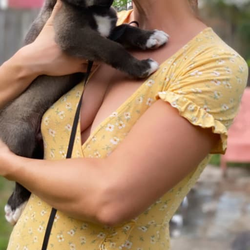 Profile image for pet sitter Shelby