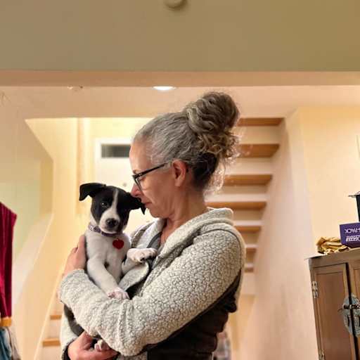 Profile image for pet sitter Laura