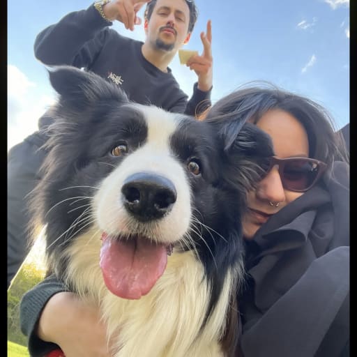 Profile image for pet sitter Léo