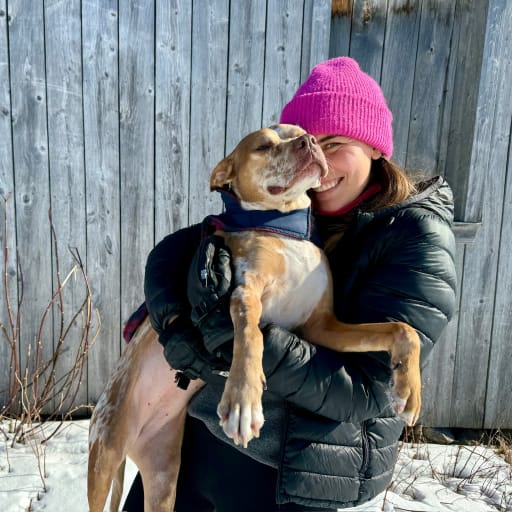 Profile image for pet sitter Alizee