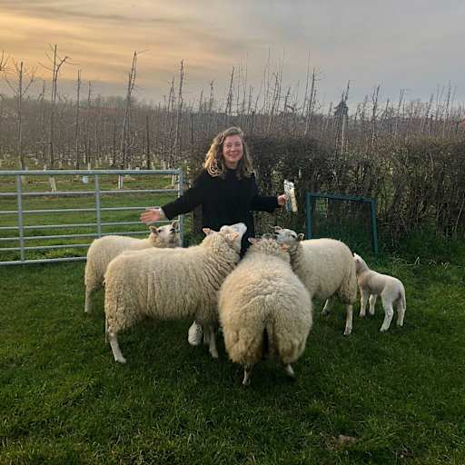 Profile image for pet sitter Vjen