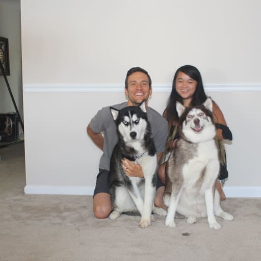 Profile image for pet sitters amy & Joshua 