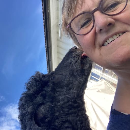 Profile image for pet sitter trude