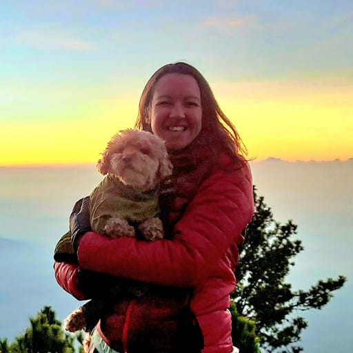 Profile image for pet sitter Claire