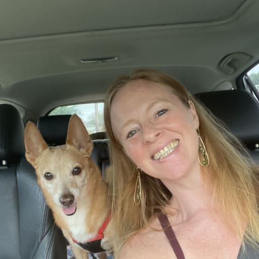 Profile image for pet sitter Traci