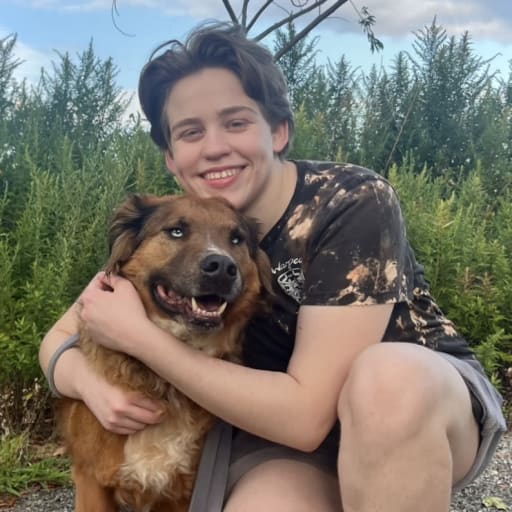 Profile image for pet sitter Dylan