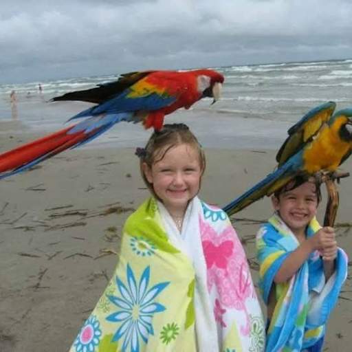 Profile image for pet sitter Elizabeth