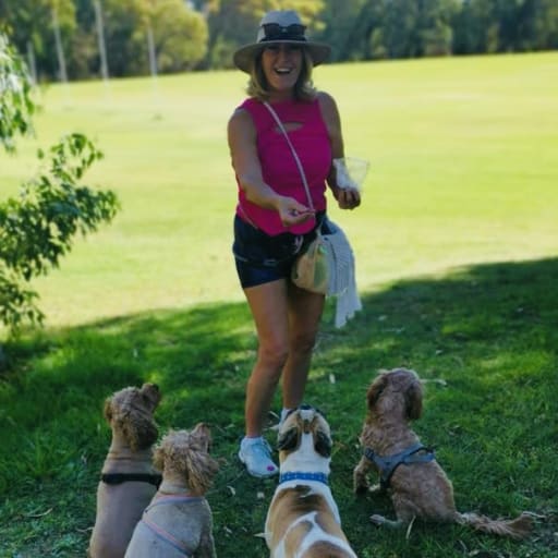 Profile image for pet sitter Cath