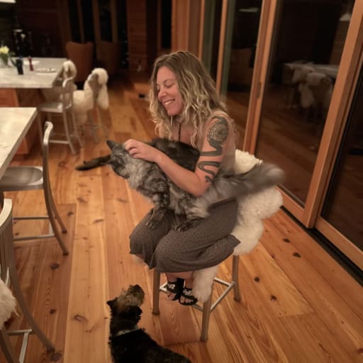 Profile image for pet sitter Sarah