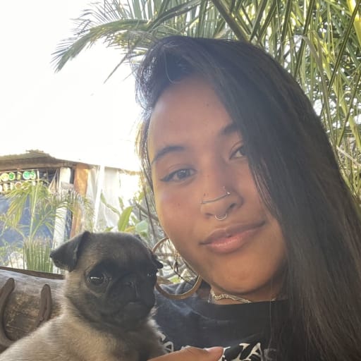 Profile image for pet sitter Pato