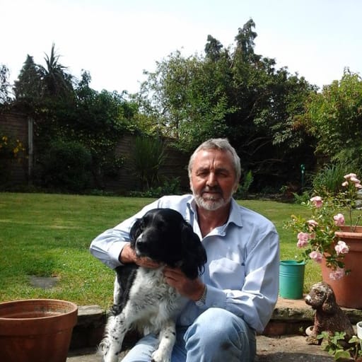 Profile image for pet sitter Mark