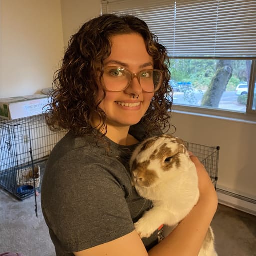 Profile image for pet sitter Larissa