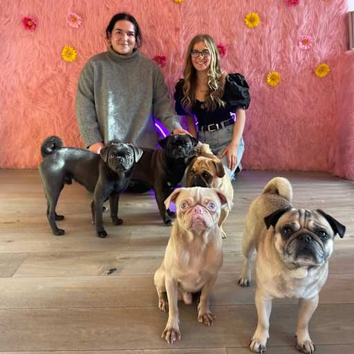 Profile image for pet sitters jennifer & Craig