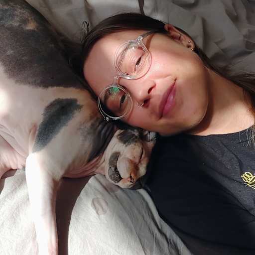 Profile image for pet sitter Jasper