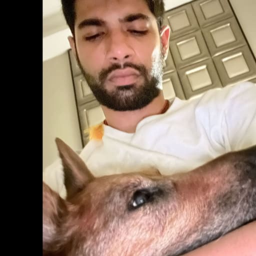 Profile image for pet sitter Siddhant