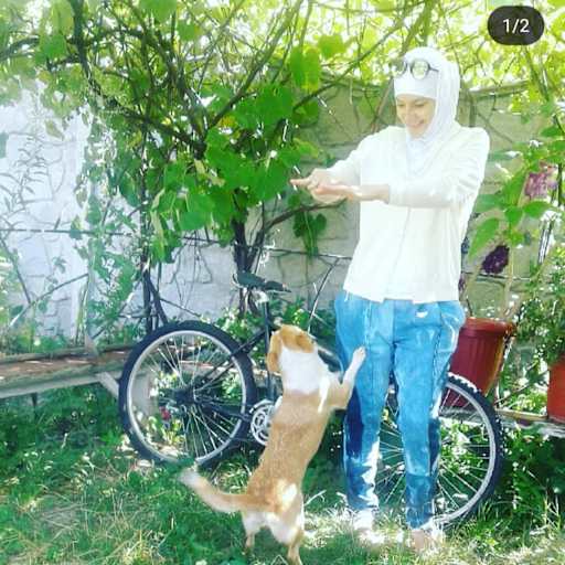 Profile image for pet sitter Анна