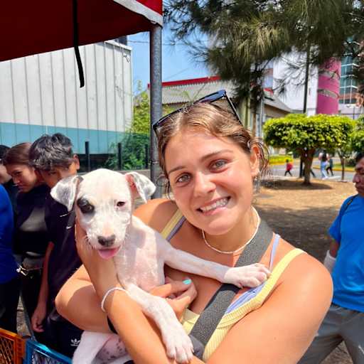 Profile image for pet sitter Kate