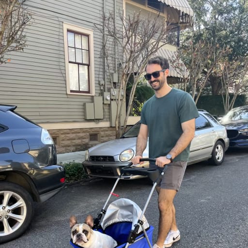 Profile image for pet sitter William